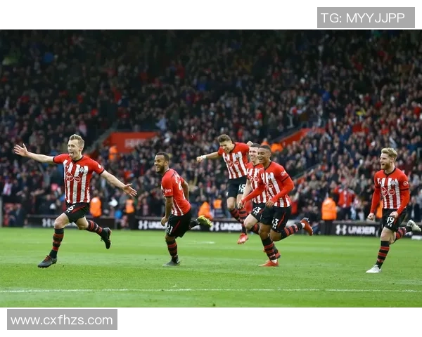 冰岛与芬兰足球比赛最新比分动态及赛况分析